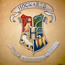 Harry Potter Bedroom