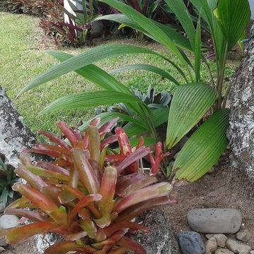 Sweet and simple front of the house
