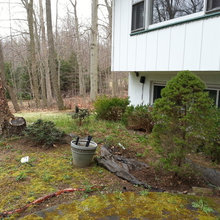 Patio Ideas