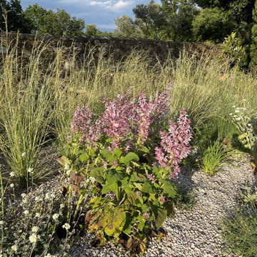 gravel garden
