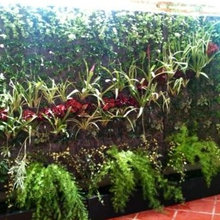 Florida Landscaping
