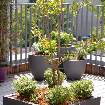 Terrasse - Ecrin de bois pour un air de Méditerranée à Montreuil !