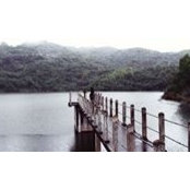 Yến Trang Trần's photo