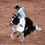 Robin Karow's photo