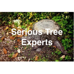 Serious Tree Experts
