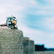 Sam Anderson's photo
