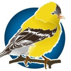 Wild Bird Store Online