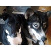 Heidi Woods's photo