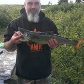 Dany Poirier's photo