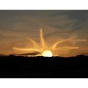 Felipe Ramos's photo