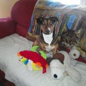 Wanda Seyer's photo