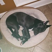 Christine Brummett's photo