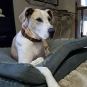 Christi Roe's photo