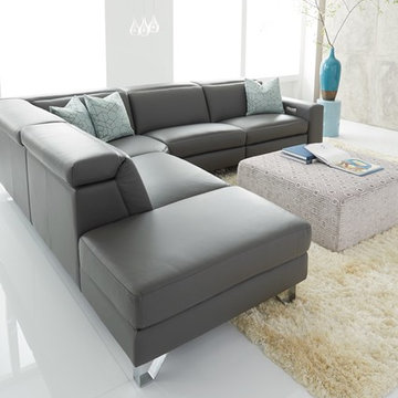 Motion Collection