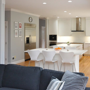 Sleek and European Kitchen Remodel