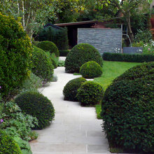 architectural planting