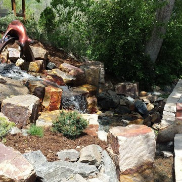 A Foxy Colorado Stream