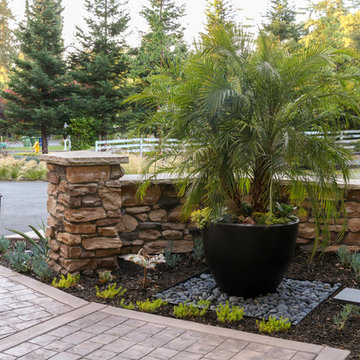 Front Yard Plantings