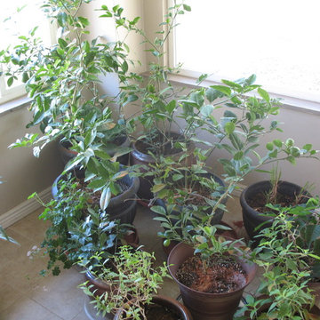 Places To Garden