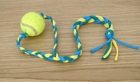 DIY : Recyclez une vieille balle de tennis en jouet pour chien