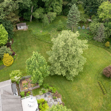 Mature Garden