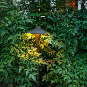 Landscape Lighting