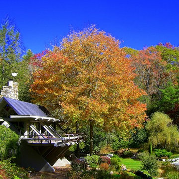 Duckham Cabin