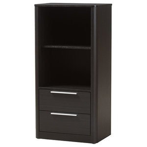 Carlingford Modern 2 Drawer Bookcase Transitional Bookcases