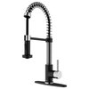 VIGO Edison Pull-Down Kitchen Faucet With Deck Plate, Stainless Steel/Black