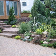 Landscape - Front of house