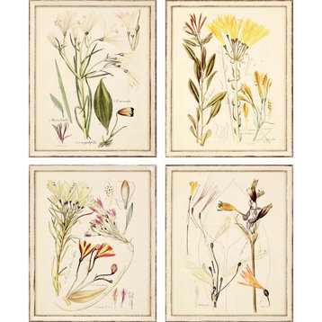 Antique Botanicals, Set of 4
