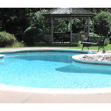 Custom Backyard Pool Portfolio