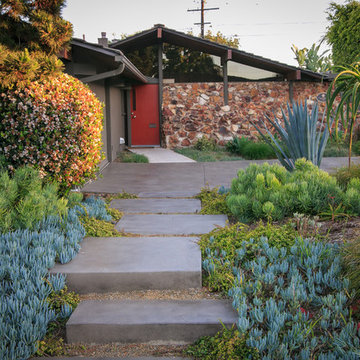 Mid Century Driveway