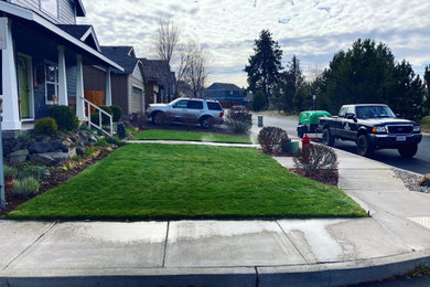 This is an example of a landscaping in Other.