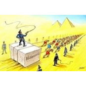 Mostafa Farag's photo