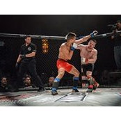 Justin Land's photo