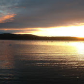 Angus McGlynn's photo
