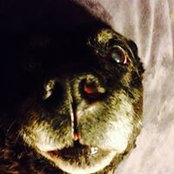 Isabel Bianca's photo