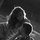 vickie_gibson5692607