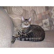 Phyllis Dodson's photo
