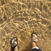 Allison Reis's photo