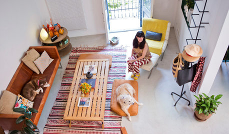 リラックスムード満点！愛犬達と暮らすバルセロナの部屋