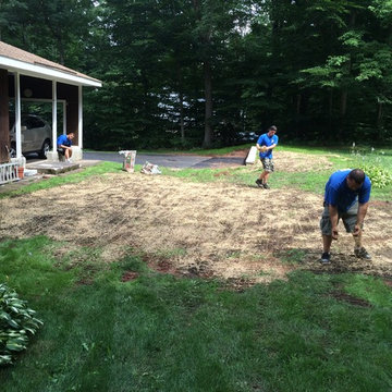 1000 Gallon Buried Oil Tank Removal ; Northford