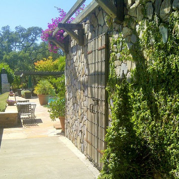 Wine Cellar