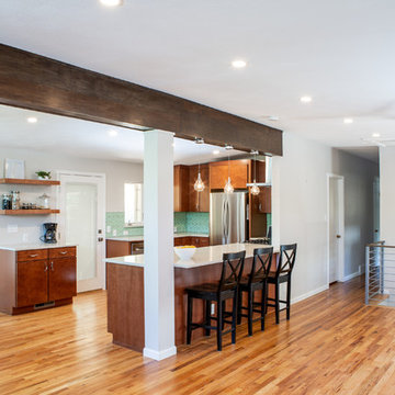 Detroit Street Kitchen Renovation