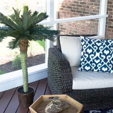 Luscious Palm in Lounge Sunroom