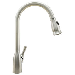 Transitional Kitchen Faucets by Cosmo