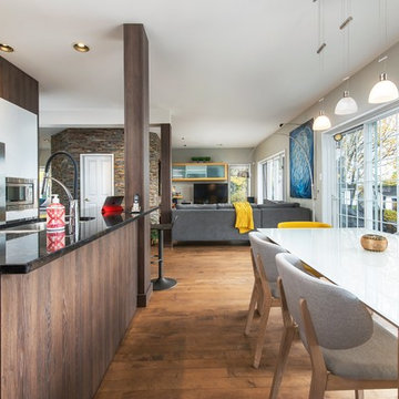 Midcentury interior design