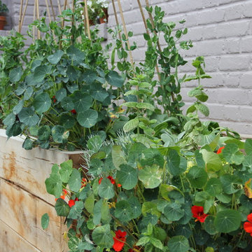 E17 Restaurant Kitchen Garden