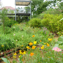 2019 summer garden